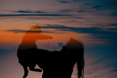 Silhouette of man and his cat during sunset