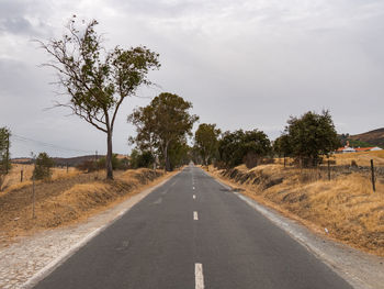 Road amidst trees against sky