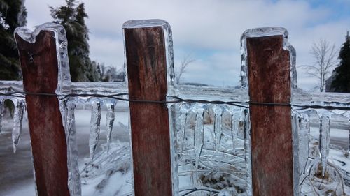 Close-up of frozen ice on fence against sky