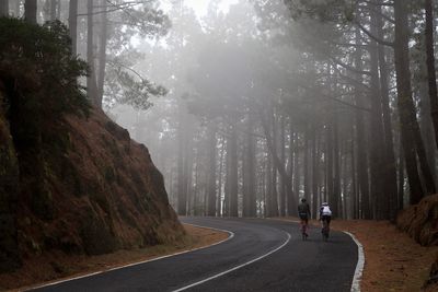 Road amidst trees in forest against sky