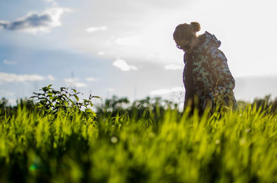 Plant growing on grassy field