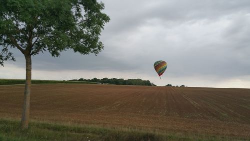 Hot air balloons on field against sky