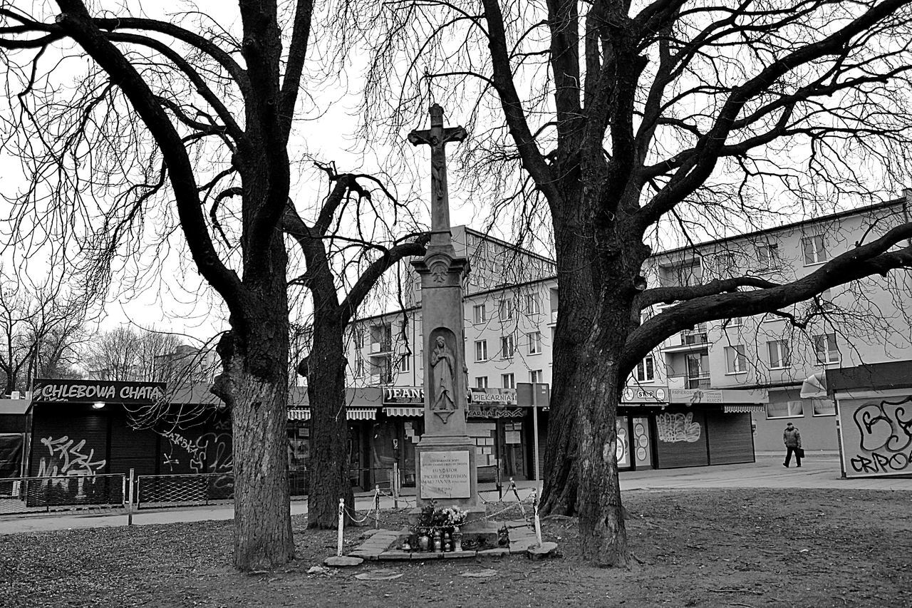 tree, bare tree, architecture, built structure, building exterior, plant, black and white, street, monochrome, tree trunk, building, monochrome photography, trunk, nature, branch, urban area, city, day, neighbourhood, road, no people, outdoors, house, sky, park, seat, bench