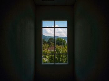 Trees seen through house window