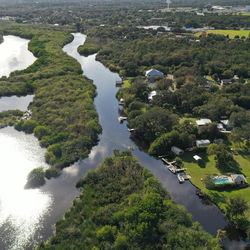 High angle view of river amidst trees