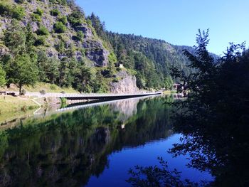 Reflection of trees in lake