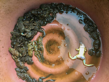 High angle view of soup in bowl