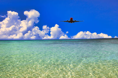 Beautiful coral reef sea in okinawa