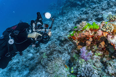 Photographer taking picture of coral at the great barrier reef