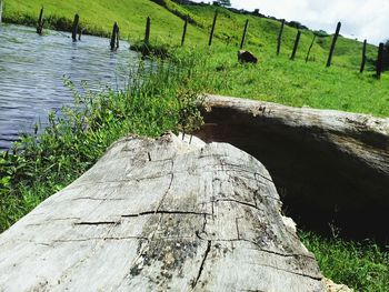 Wooden post on field by trees