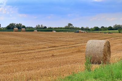 Hay bales on field against sky