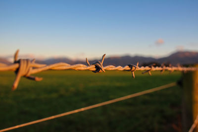 Close-up of barbed wire on field against sky