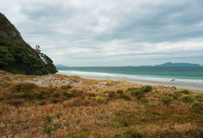 Beautiful morning view at mangawhai heads reserve in northland, new zealand.