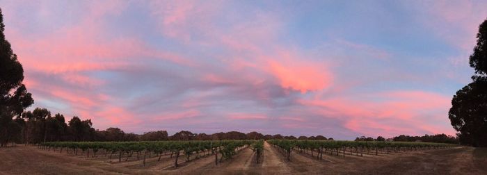 Scenic view of field against cloudy sky