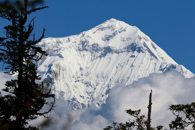 Low angle view of snowcapped mountain against sky