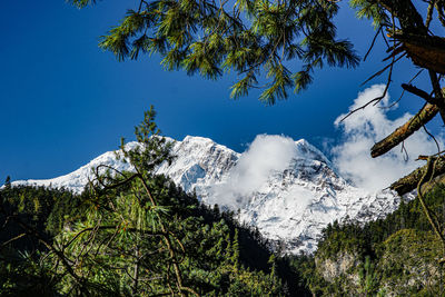 Low angle view of snowcapped mountains against clear blue sky