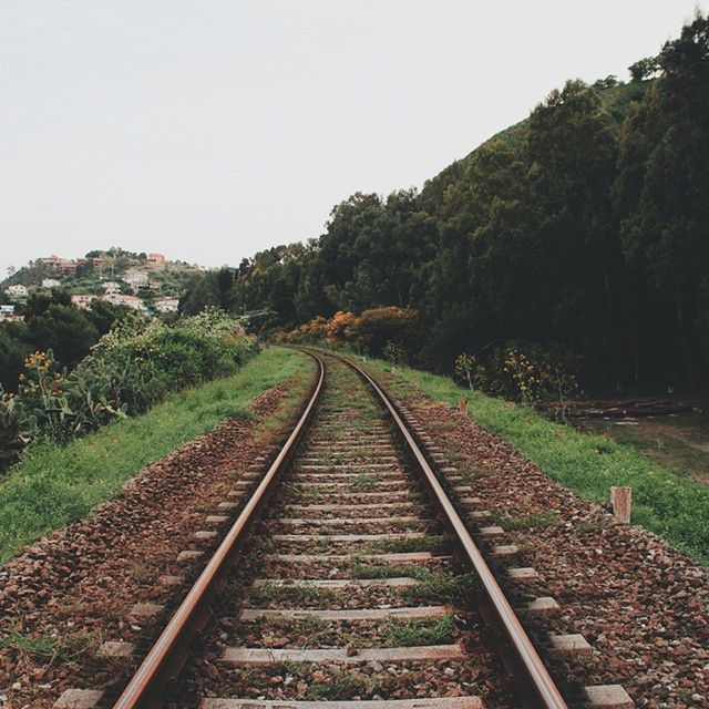 railroad track, rail transportation, the way forward, transportation, diminishing perspective, vanishing point, tree, clear sky, railway track, straight, sky, tranquility, public transportation, nature, growth, landscape, day, tranquil scene, no people, outdoors