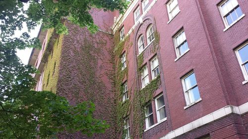 Low angle view of building