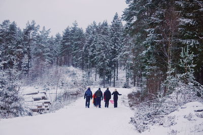 People on snow covered trees against sky