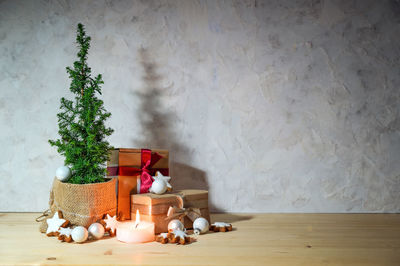 Potted plant on table