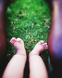 Low section of baby feet