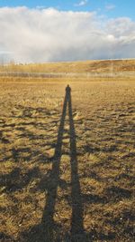 Shadow of man on field against sky