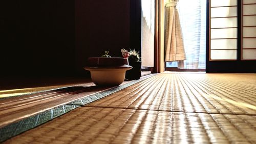 Close-up of potted plant on window sill