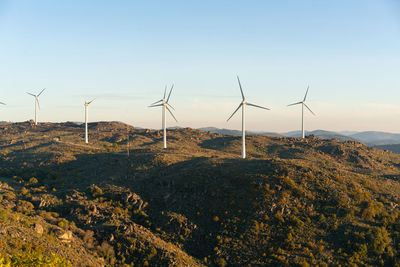 Wind turbines on field against sky