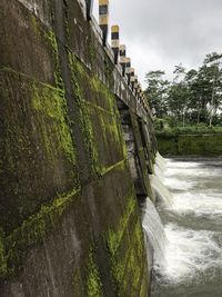 Plants growing on wall by canal against sky