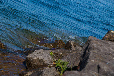 Close-up of rock by sea