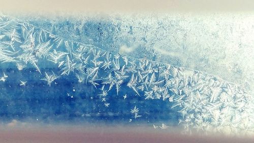 Close-up of snowflakes on glass window