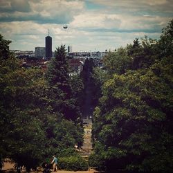 Trees in city against cloudy sky