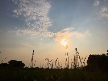 Scenic view of field against sky at sunset
