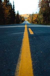 Surface level of road against trees