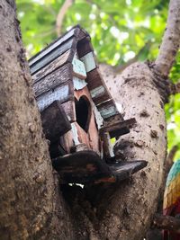 Close-up of birdhouse on tree trunk