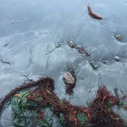 High angle view of frozen water