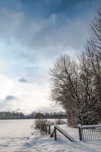 Bare trees on snow covered landscape against sky