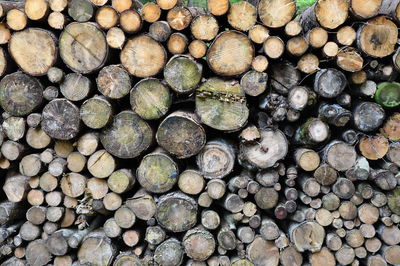 Stack of wooden log