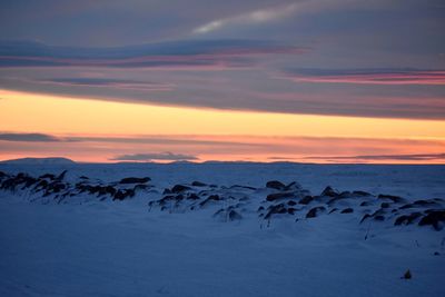 Scenic view of snowcapped mountains against sky during sunset