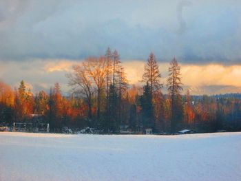 Scenic view of snow covered landscape