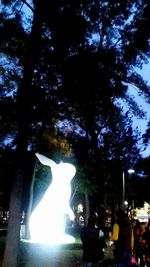 Illuminated trees against sky