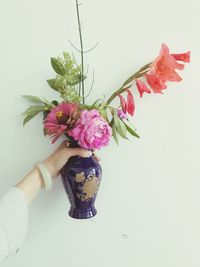 Close-up of hand holding flowers over white background