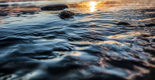 View of turtle swimming in sea