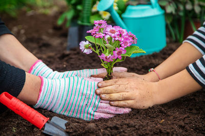 Cropped hand of woman holding plant