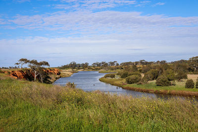 Scenic view of trees on field and river against sky