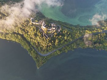 High angle view of sea by trees