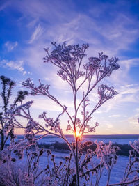 Scenic view of frozen lake against sky during sunset