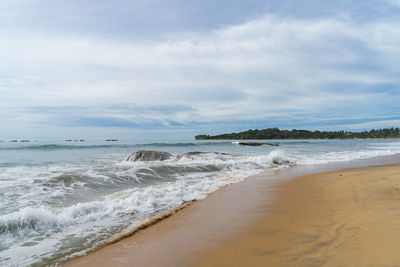 Tropical beach with palm trees. cloudy sky. arugam bay, sri lanka