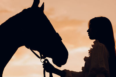 Low angle view of silhouette horse against sky during sunset