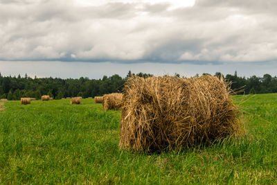 Hay bales on field against sky
